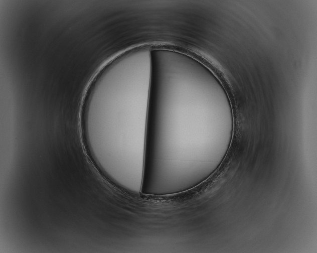 X0000097480935200802220818