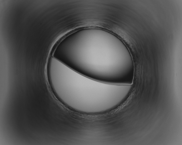 X0000097480936200802220818