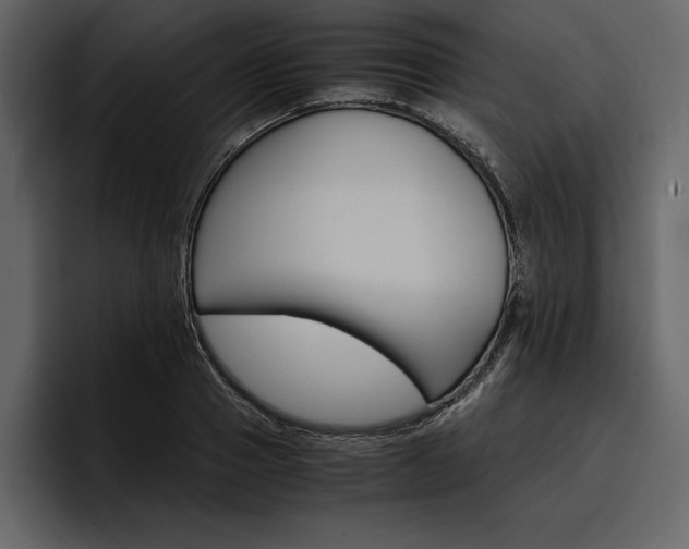 X0000097480937200802220818