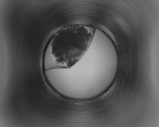 X0000097480938200802220818