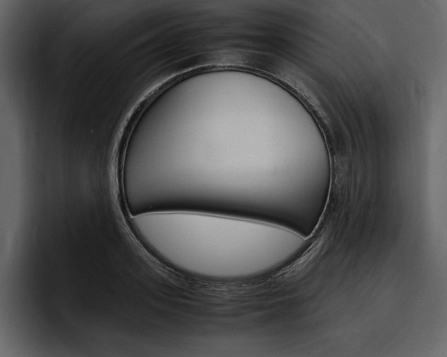 X0000097480939200802220818
