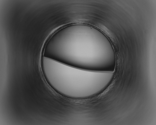X0000097480940200802220818