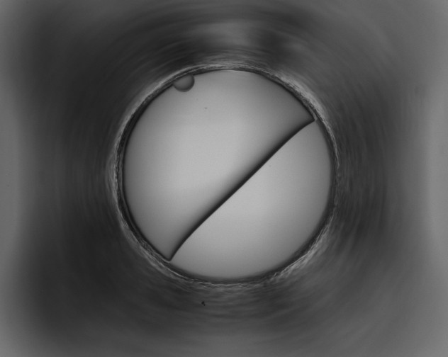 X0000097480941200802220818