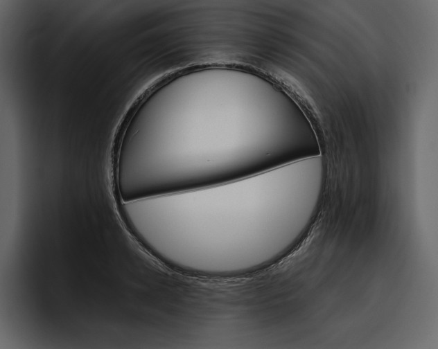 X0000097480942200802220818