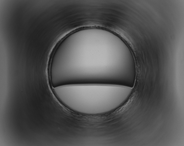 X0000097480943200802220818