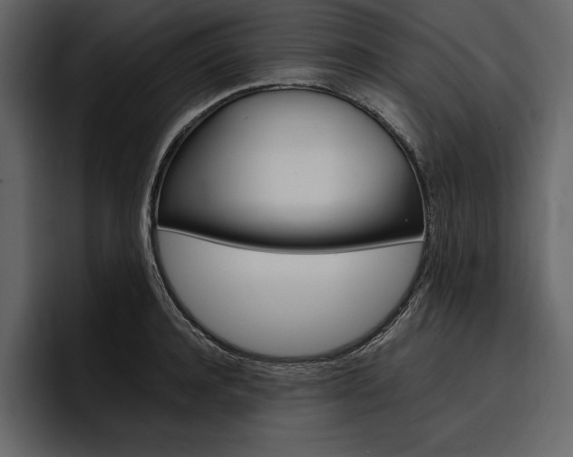 X0000097480944200802220818