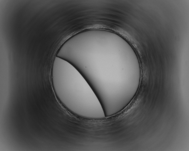 X0000097480945200802220818