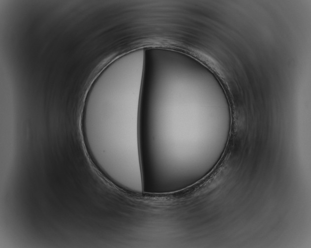 X0000097480946200802220818