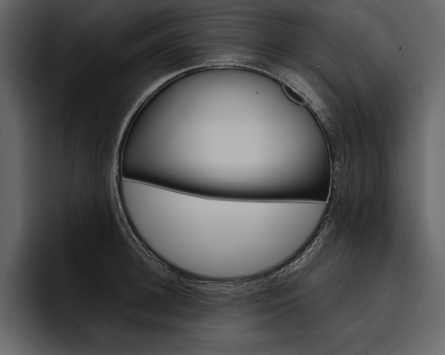 X0000097480948200802220818