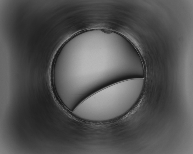 X0000097480949200802220818