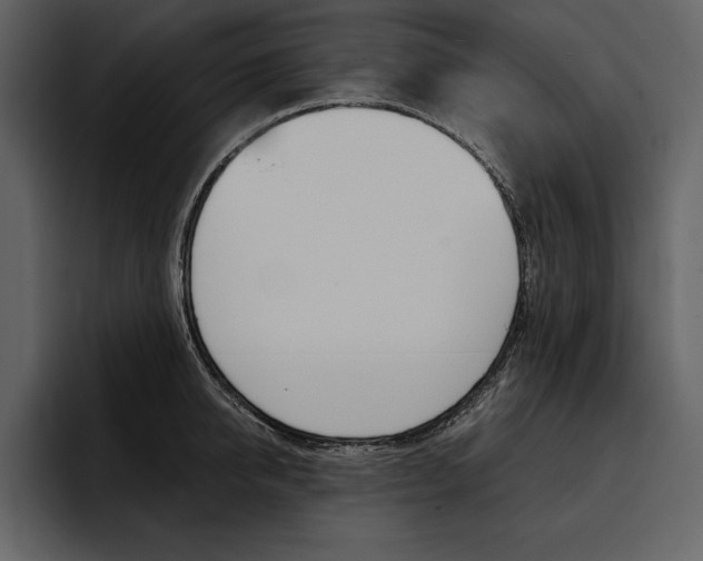 X0000097480950200802220818
