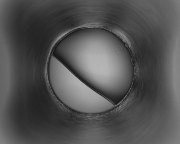 X0000097480952200802220818