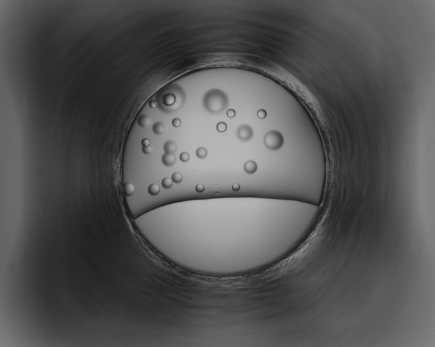 X0000097480953200802220818