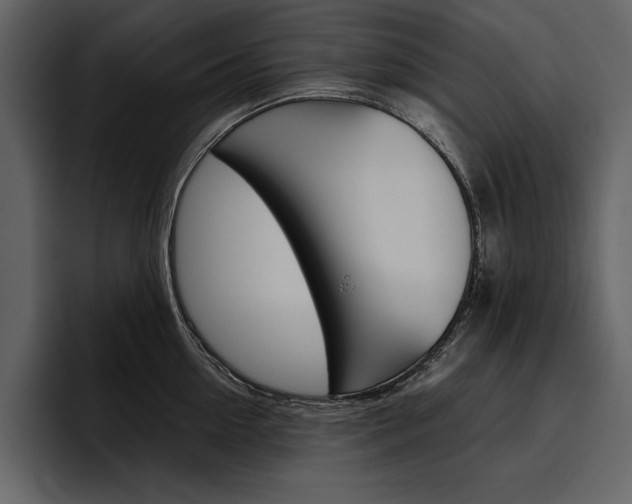 X0000097480954200802220818