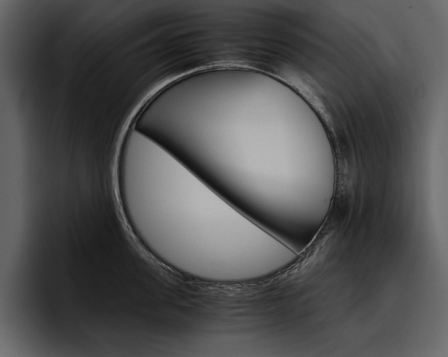 X0000097480955200802220818
