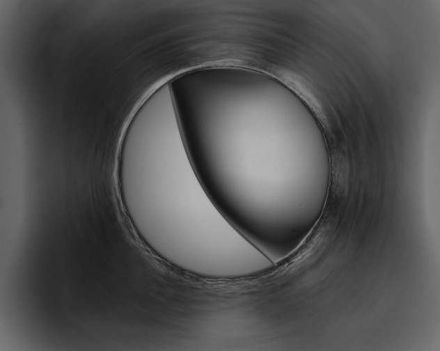 X0000097480956200802220818