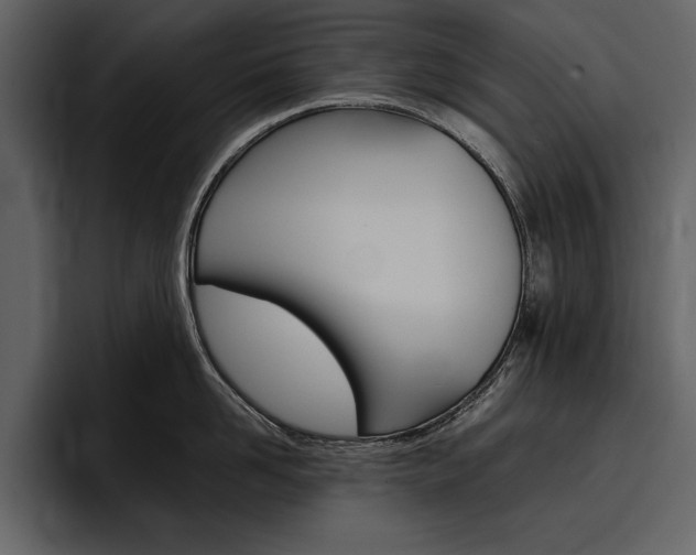X0000097480958200802220818
