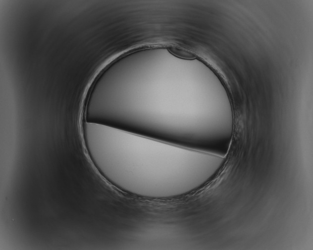 X0000097480959200802220818