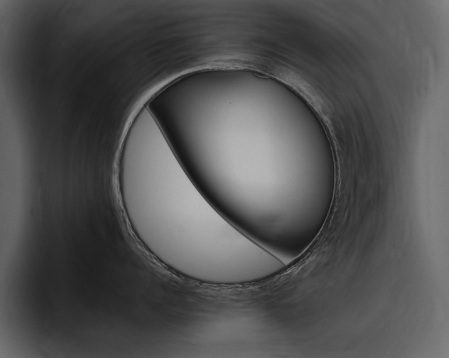 X0000097480960200802220818
