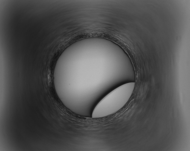 X0000097480963200802220817