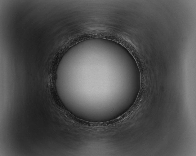X0000097480965200802220817