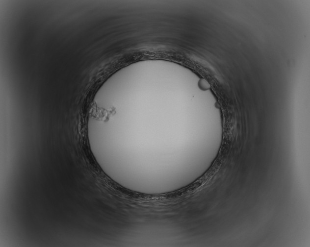 X0000097480966200802220817