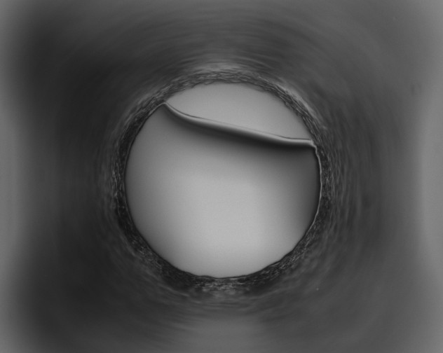 X0000097480967200802220817