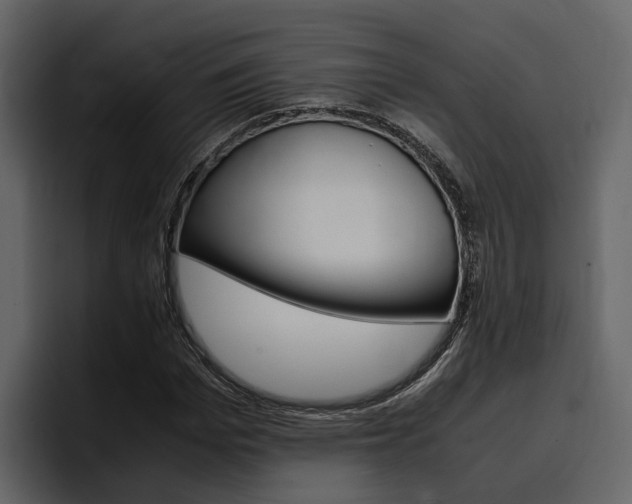 X0000097480969200802220817