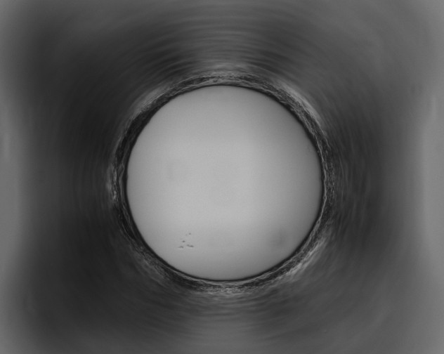 X0000097480970200802220817