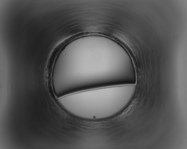 X0000097480971200802220817