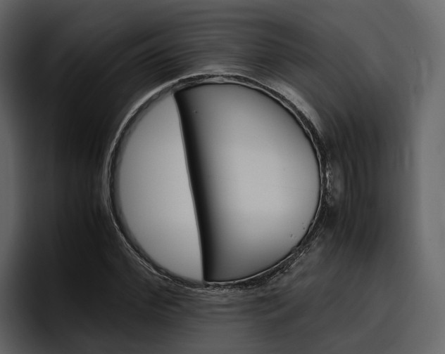 X0000097480972200802220817