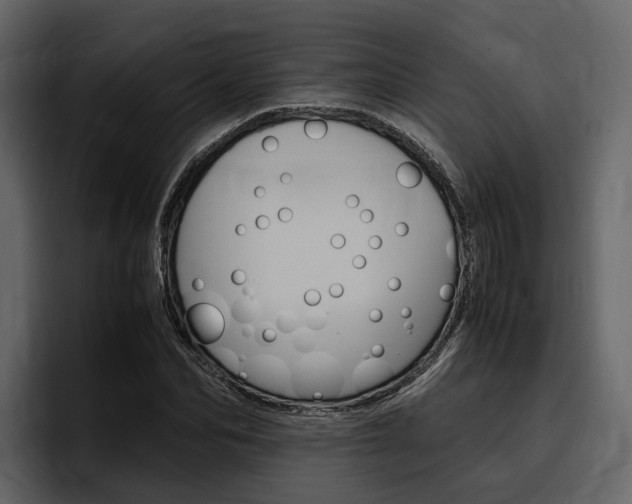 X0000097480974200802220817