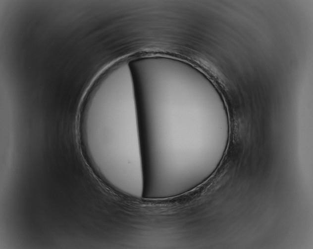 X0000097480976200802220817