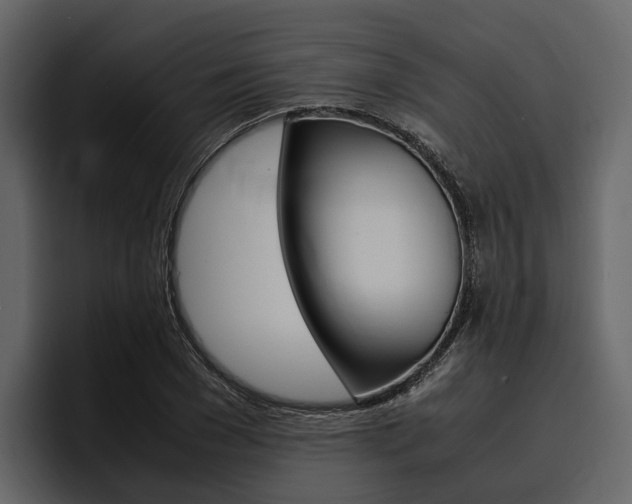 X0000097480977200802220817