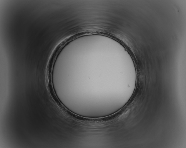 X0000097480979200802220817