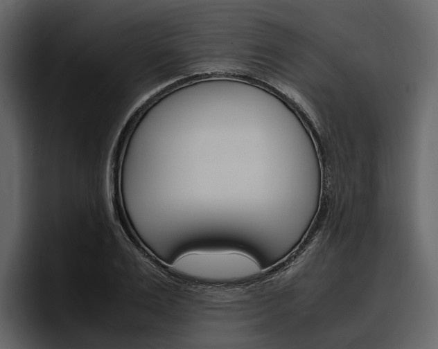 X0000097480983200802220817