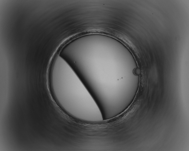 X0000097480984200802220817