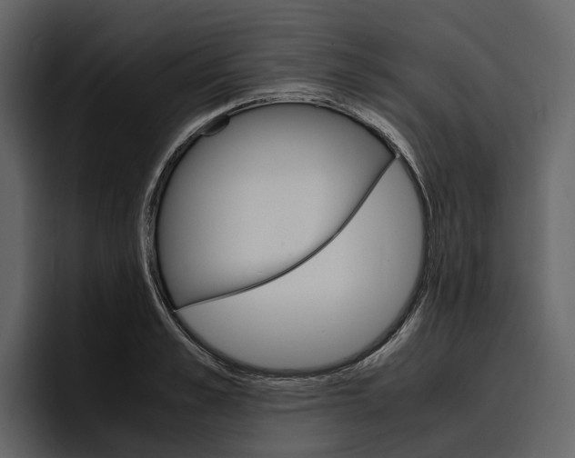 X0000097480989200802220817