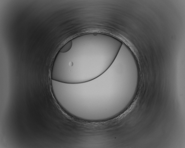 X0000097480993200802220817