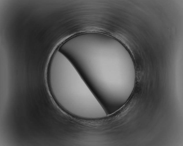 X0000097480995200802220817
