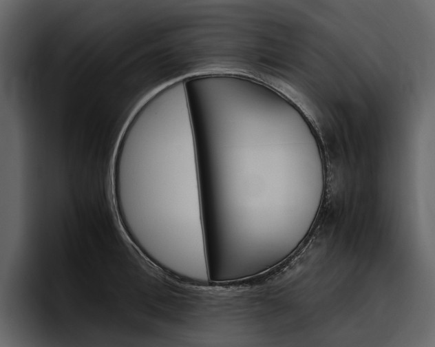 X0000097480996200802220817