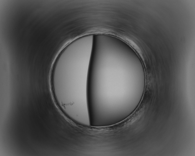 X0000097480997200802220817