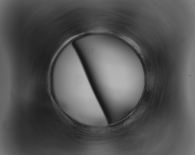 X0000097481000200802220817