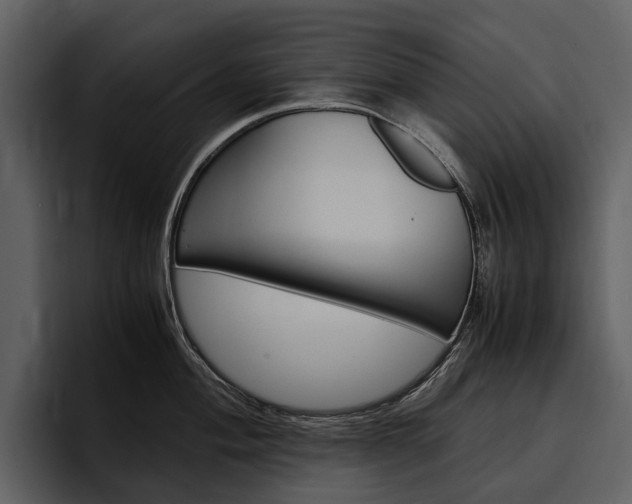 X0000097481004200802220817
