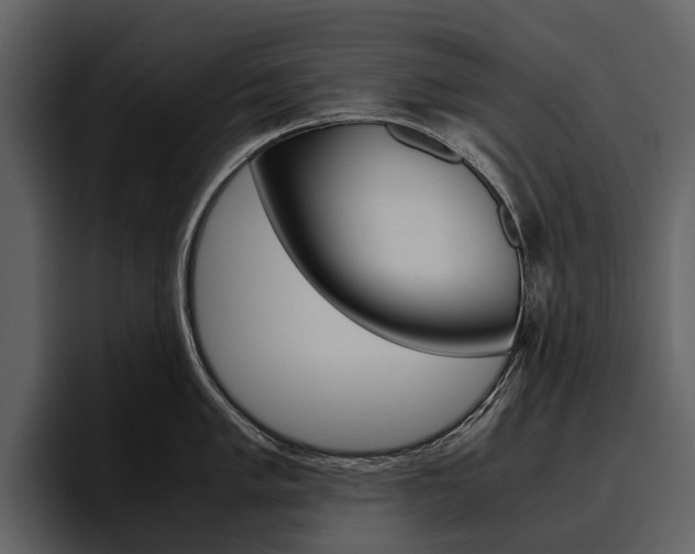 X0000097481005200802220817