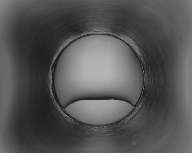 X0000097481006200802220817