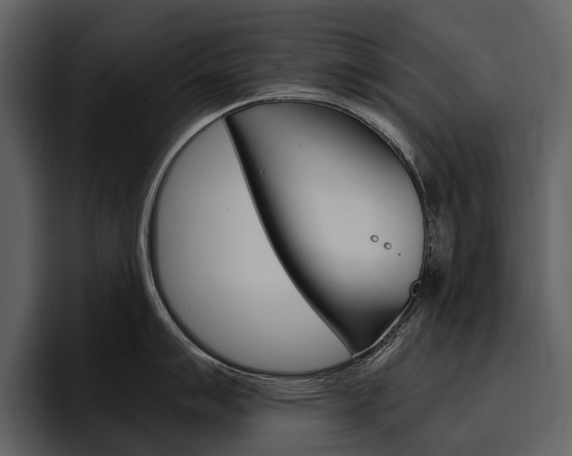 X0000097481007200802220817