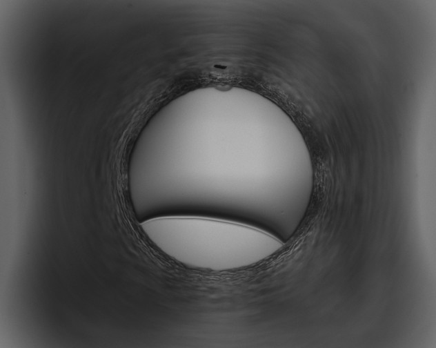 X0000097481009200802220816