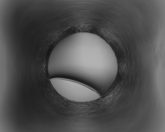 X0000097481010200802220816