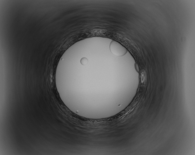 X0000097481011200802220816